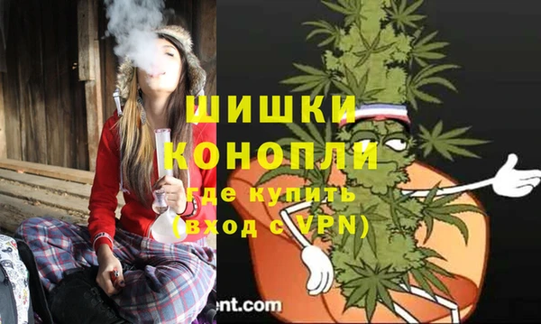 сатива Абдулино