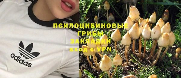 mdpv Алзамай