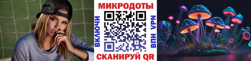 блэк спрут ССЫЛКА сайты даркнета телеграм Псилоцибиновые грибы GOLDEN TEACHER Пугачёв